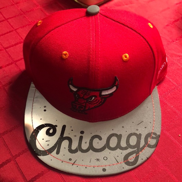 Other - Chicago Bulls Artist Series SnapBack Hat